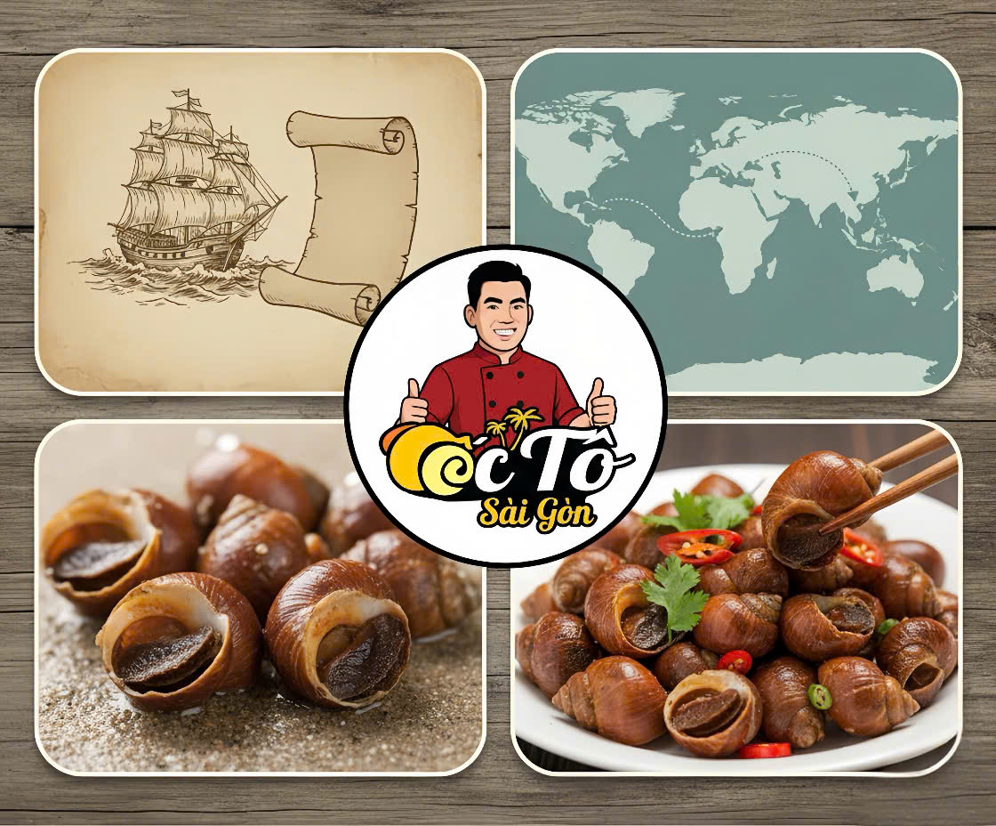 Câu chuyện của Ốc Hương – Nguồn gốc, lịch sử và lý do được ưa chuộng tại Việt Nam